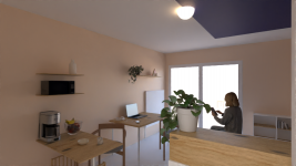 Camille SUTTER - SAS UP INTERIOR DESIGN